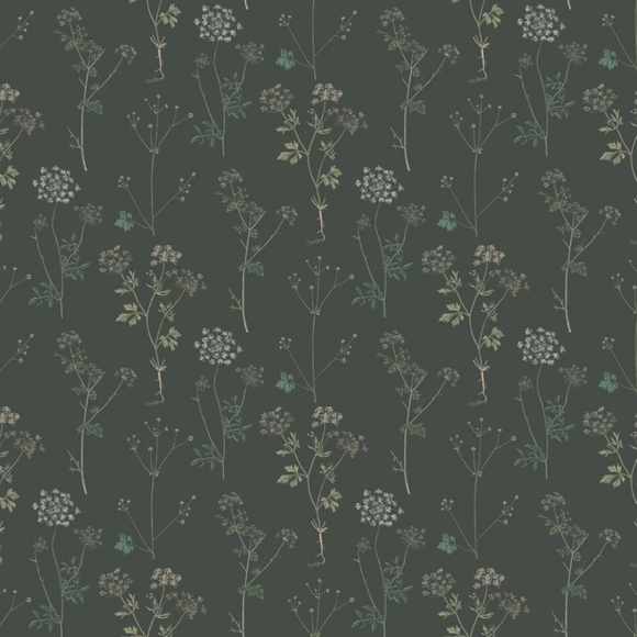 Not for sale - Picture 1 of 1